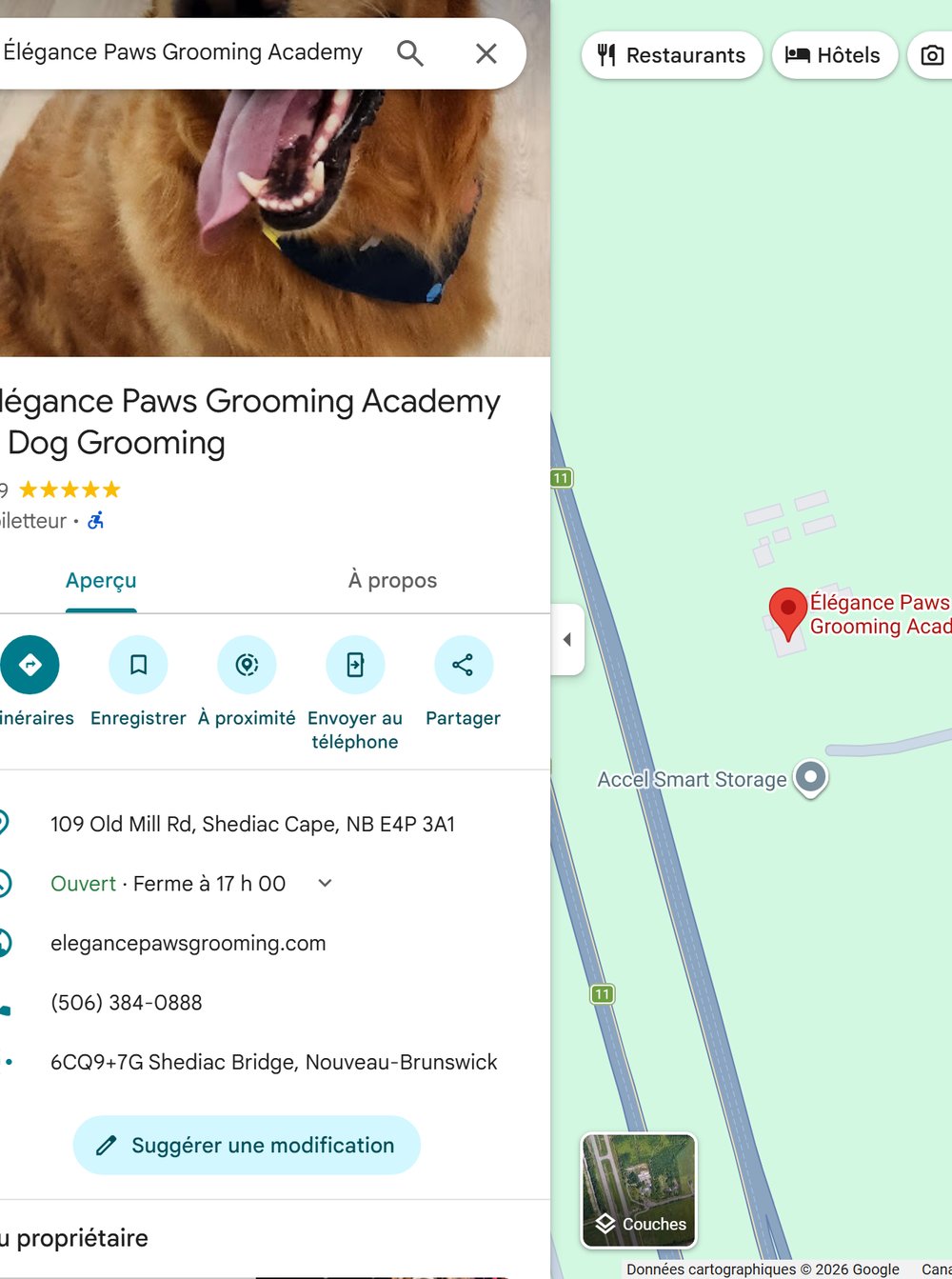 La fiche Google d'Élégance Paws Grooming : photo, note 4,9 étoiles, catégorie Toiletteur, adresse, heures, site web et téléphone